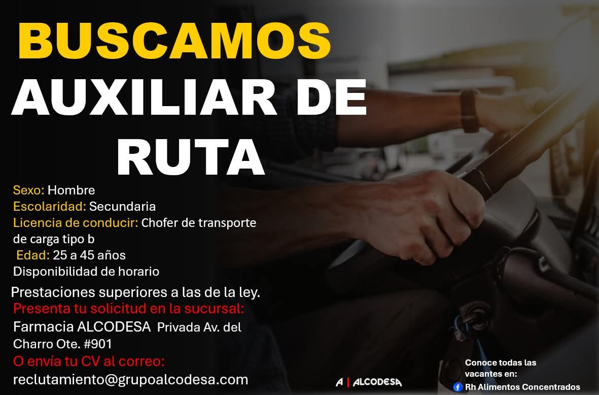 Auxiliar de ruta