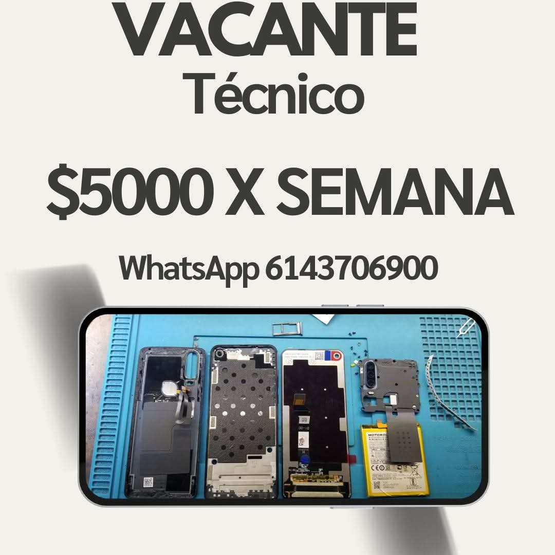 Técnico