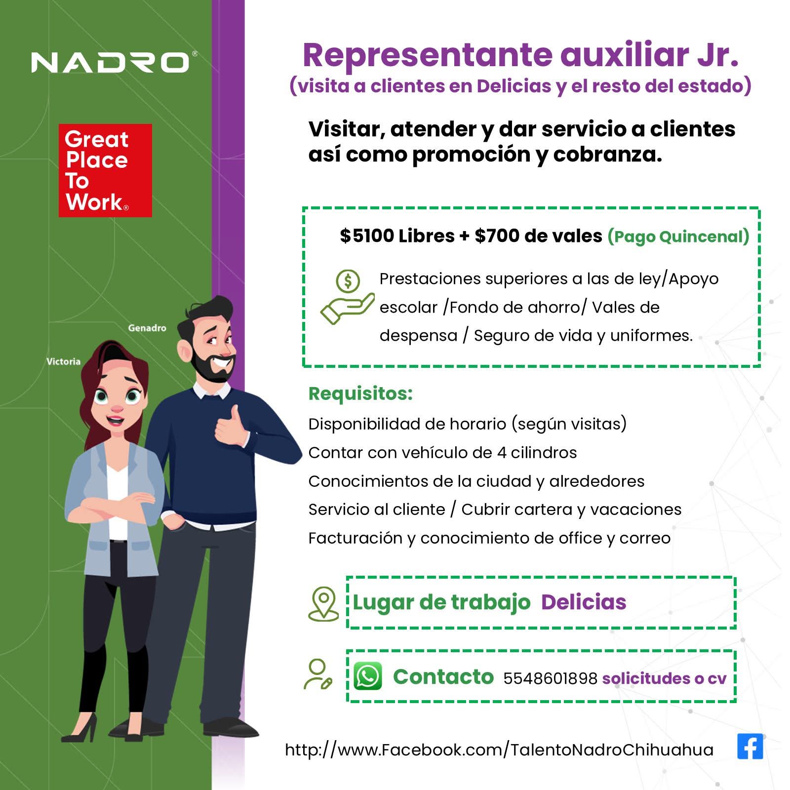 Representante auxiliar
