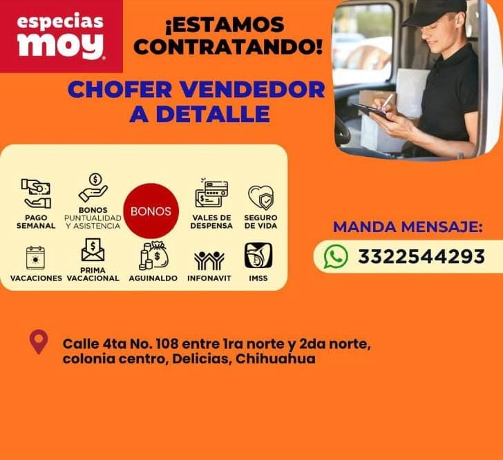 Chofer vendedor a detalle
