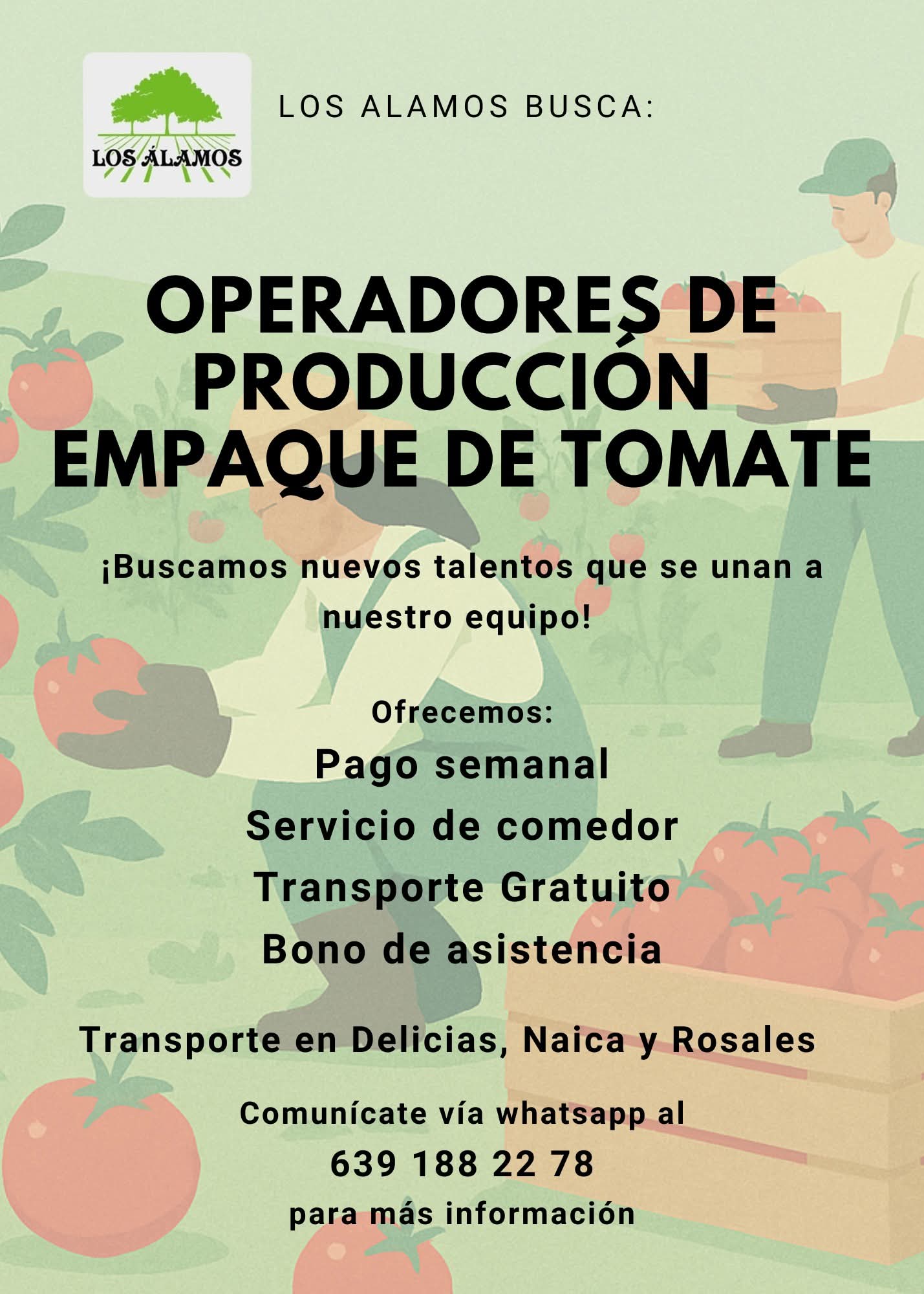 Operadores de producción