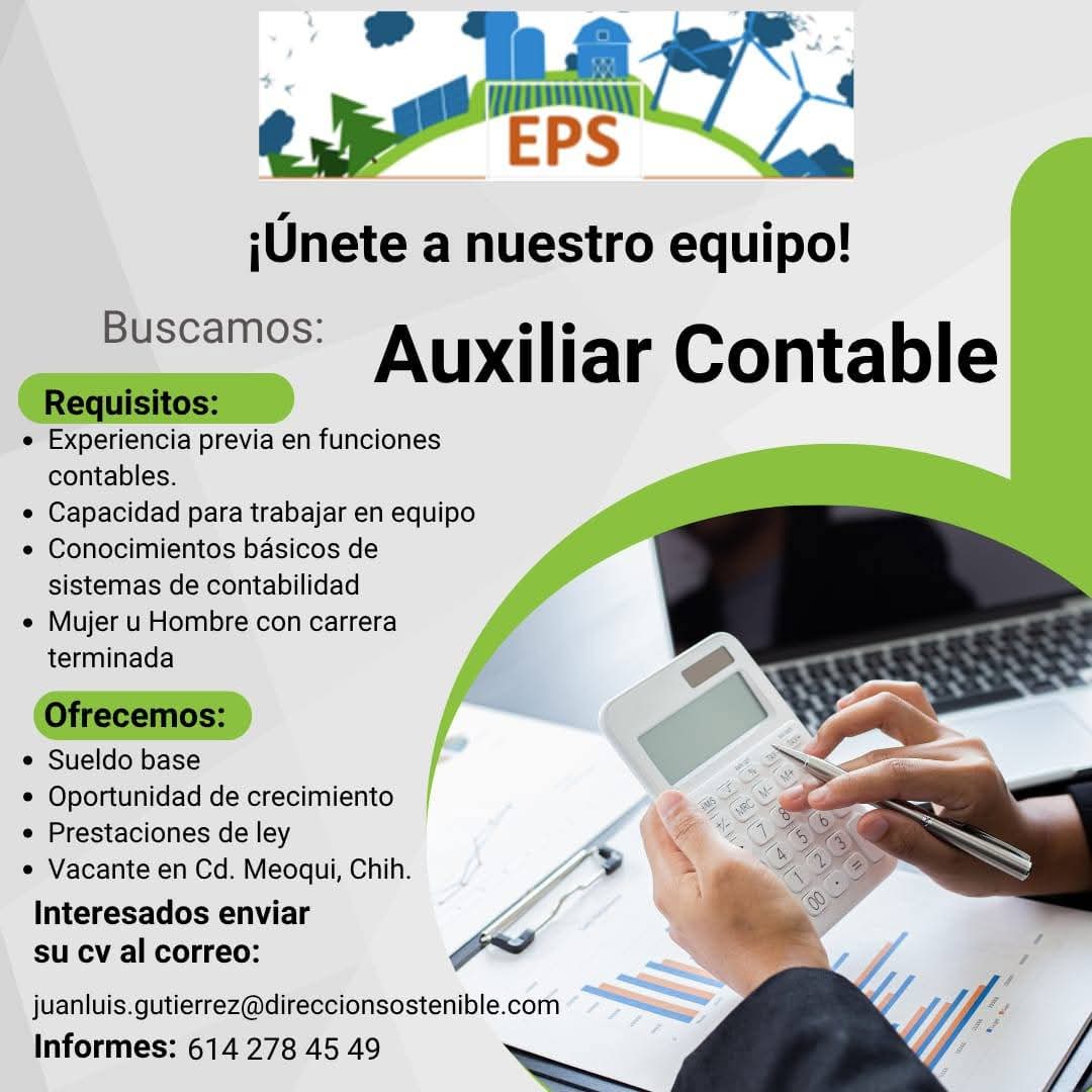Auxiliar contable