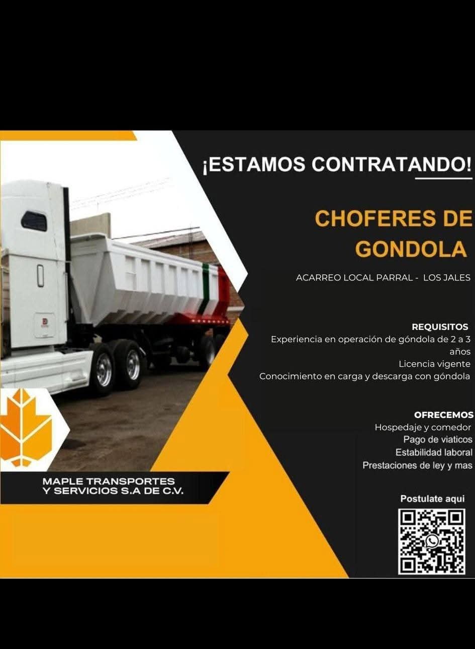 Choferes de góndola