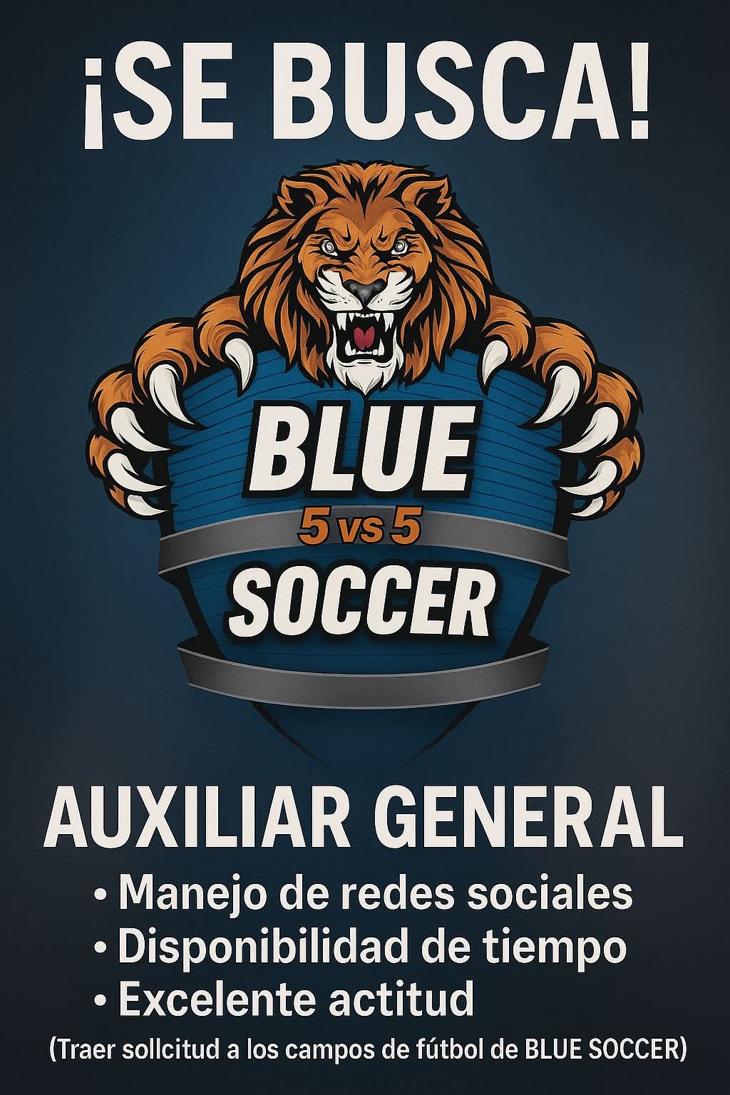 Auxiliar general