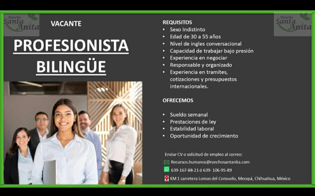 Profesionista bilingüe