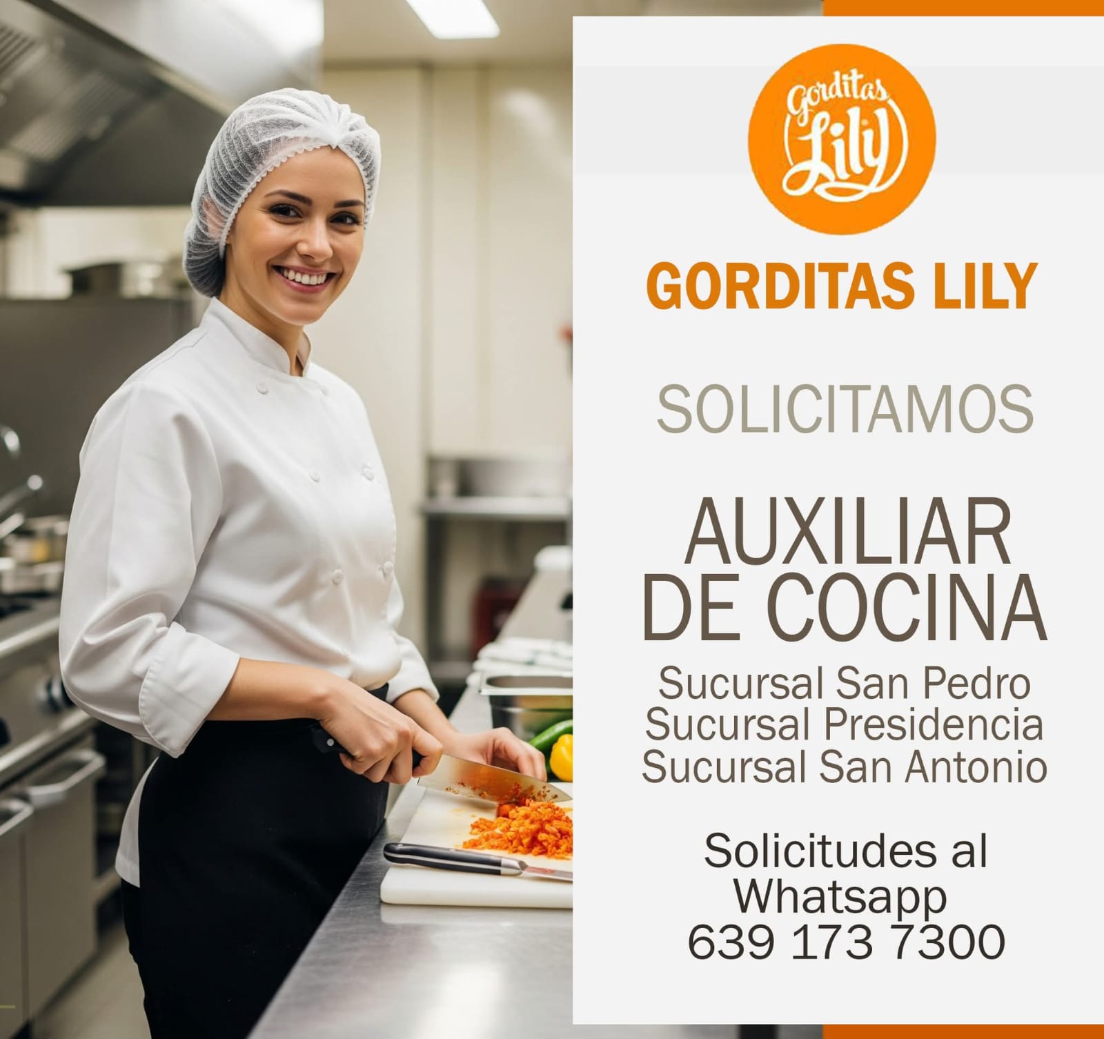 Auxiliar de cocina