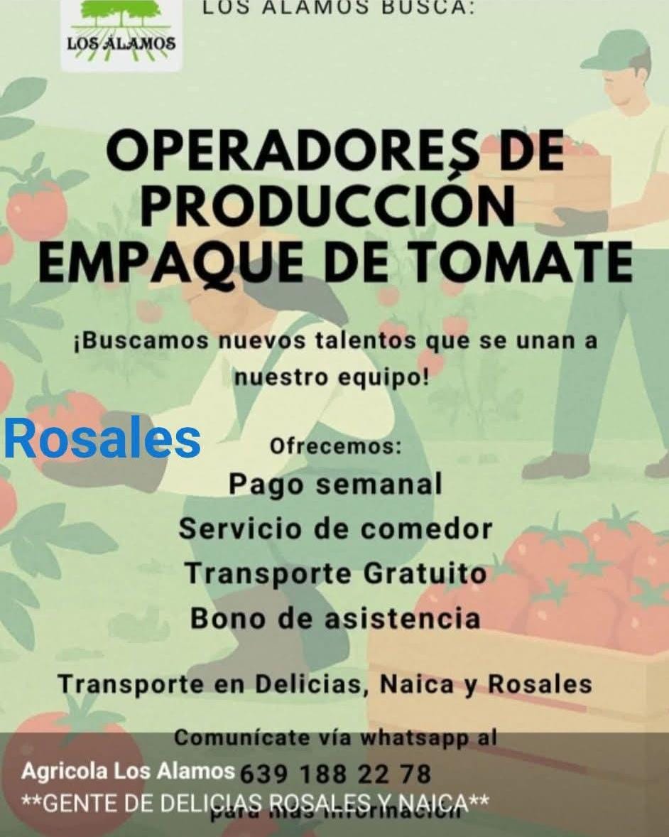 Operador de producción