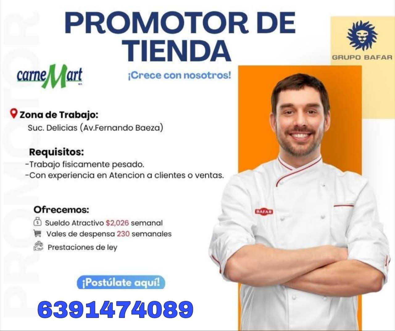 Promotor de ventas