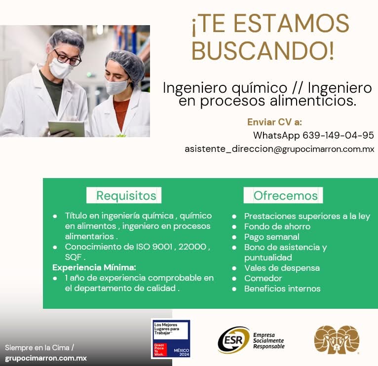 Ingeniero químico