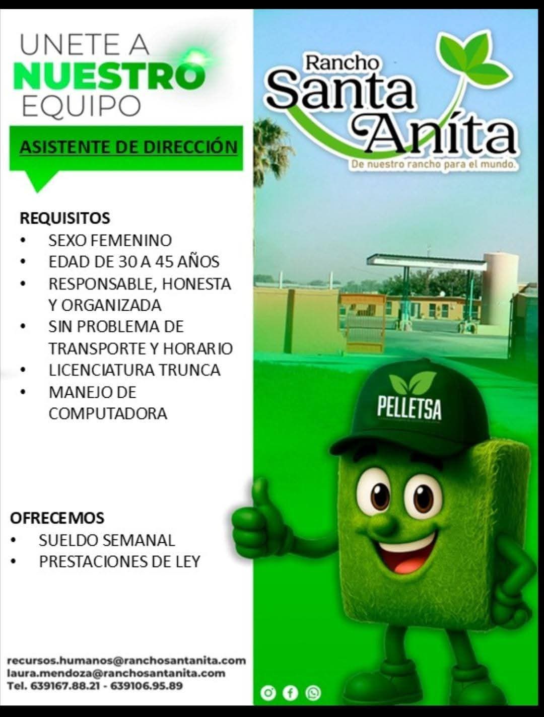 Asistente de dirección