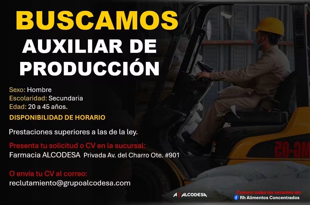 Auxiliar de producción