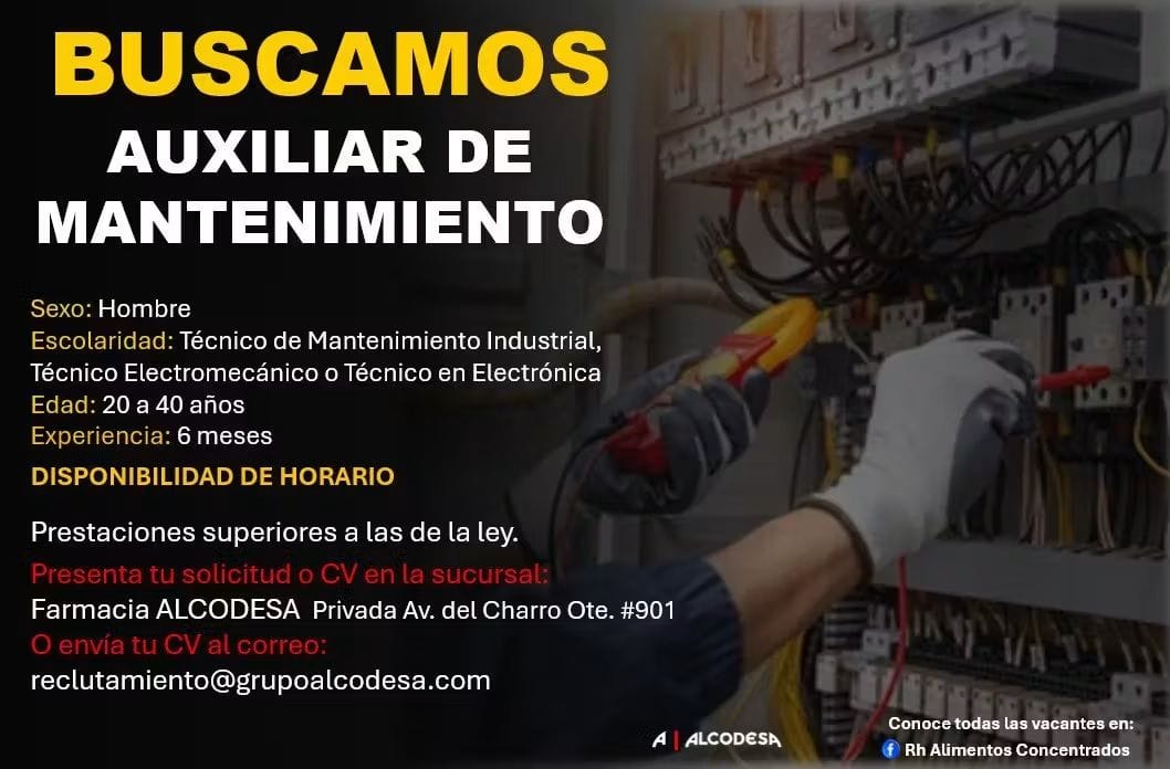 Auxiliar de mantenimiento