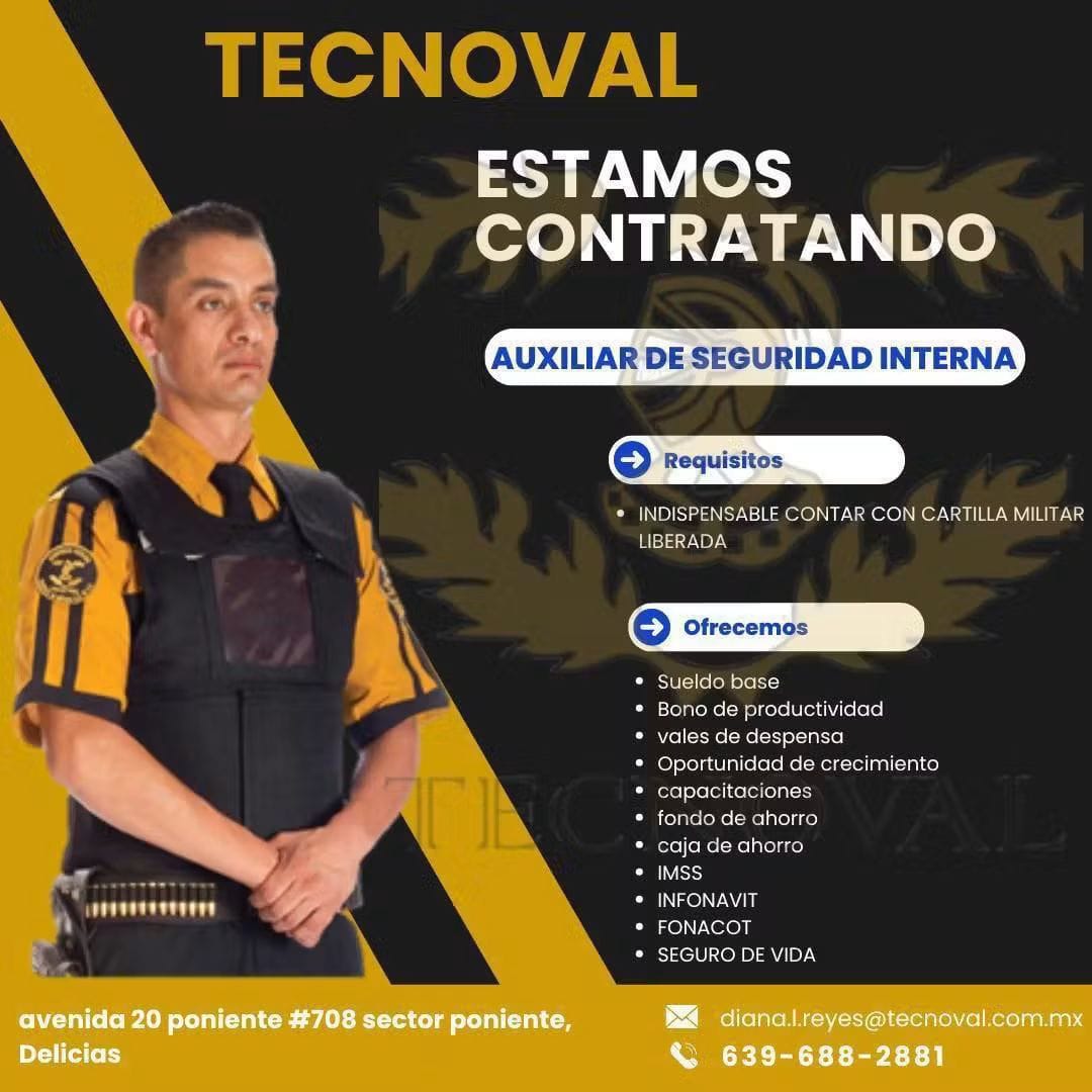 Auxiliar de seguridad interna