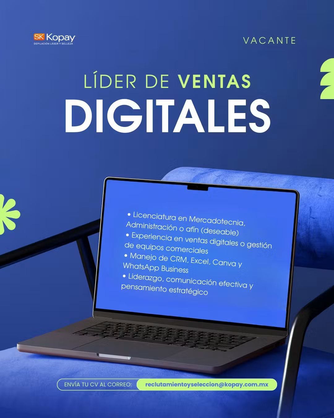 Lider de ventas dijitales