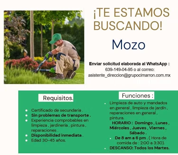 Mozo