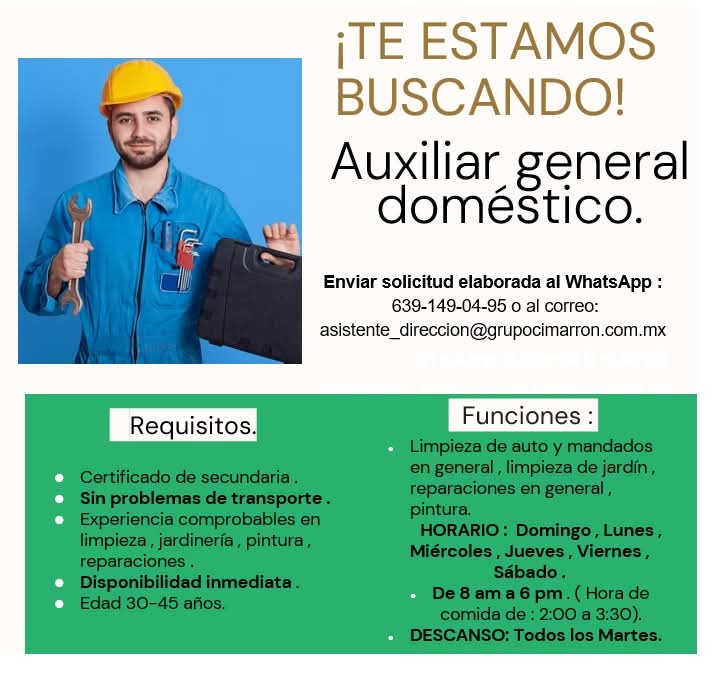 Auxiliar general doméstico