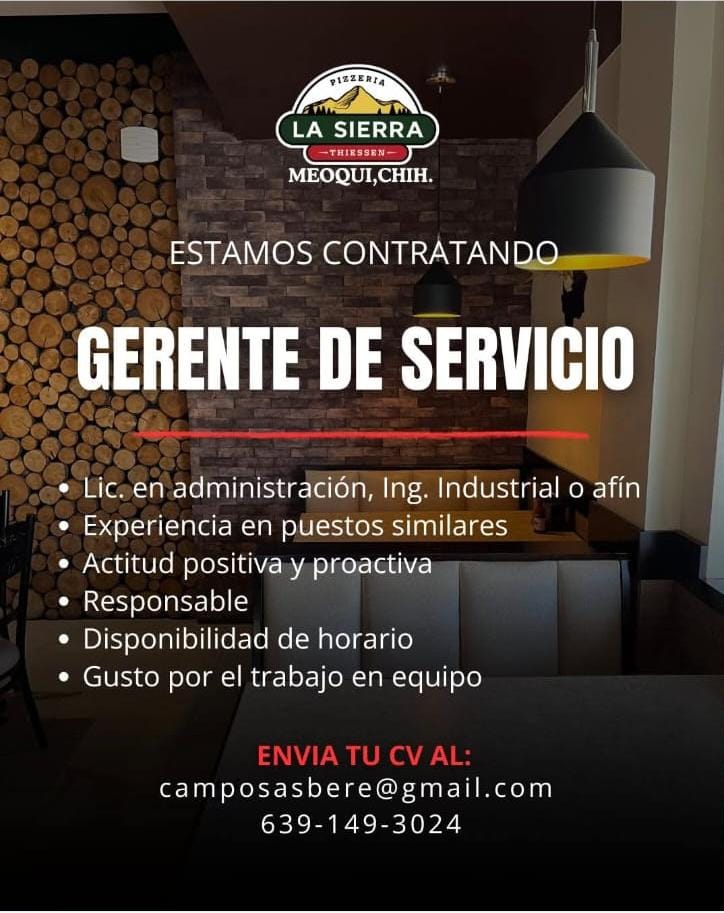 Ingeniero en sistemas