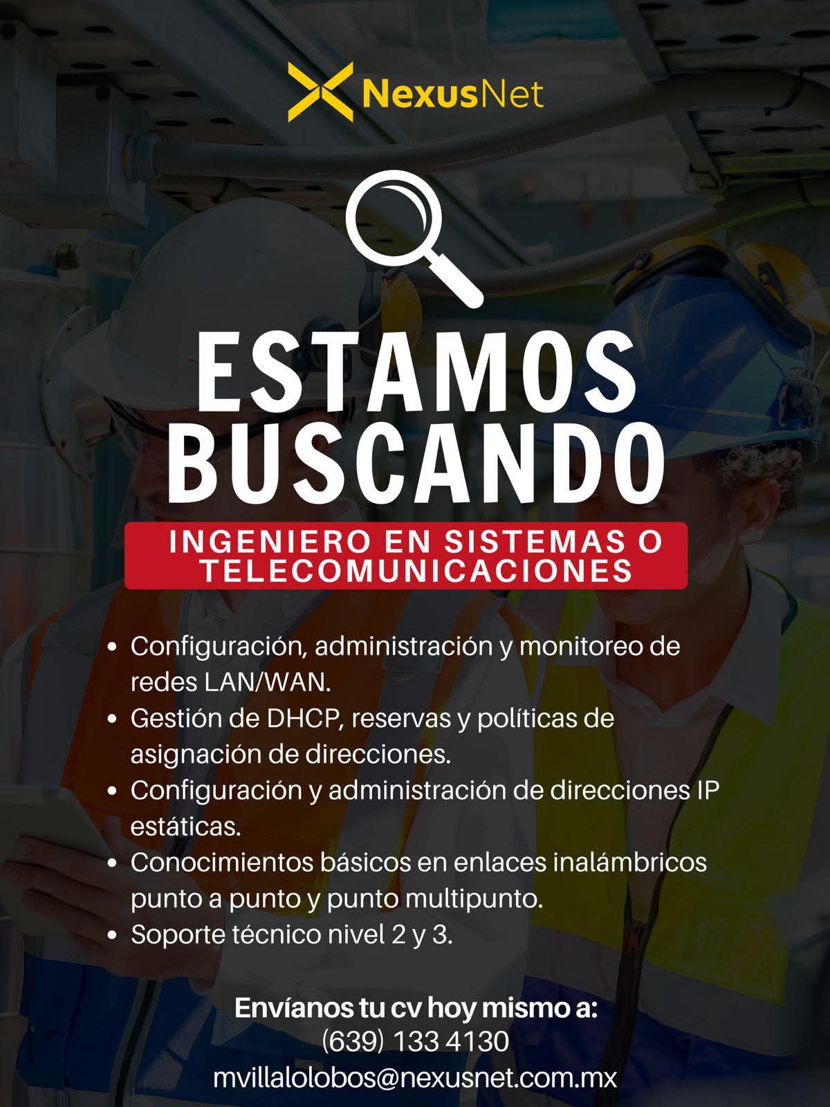 Ingeniero en sistemas