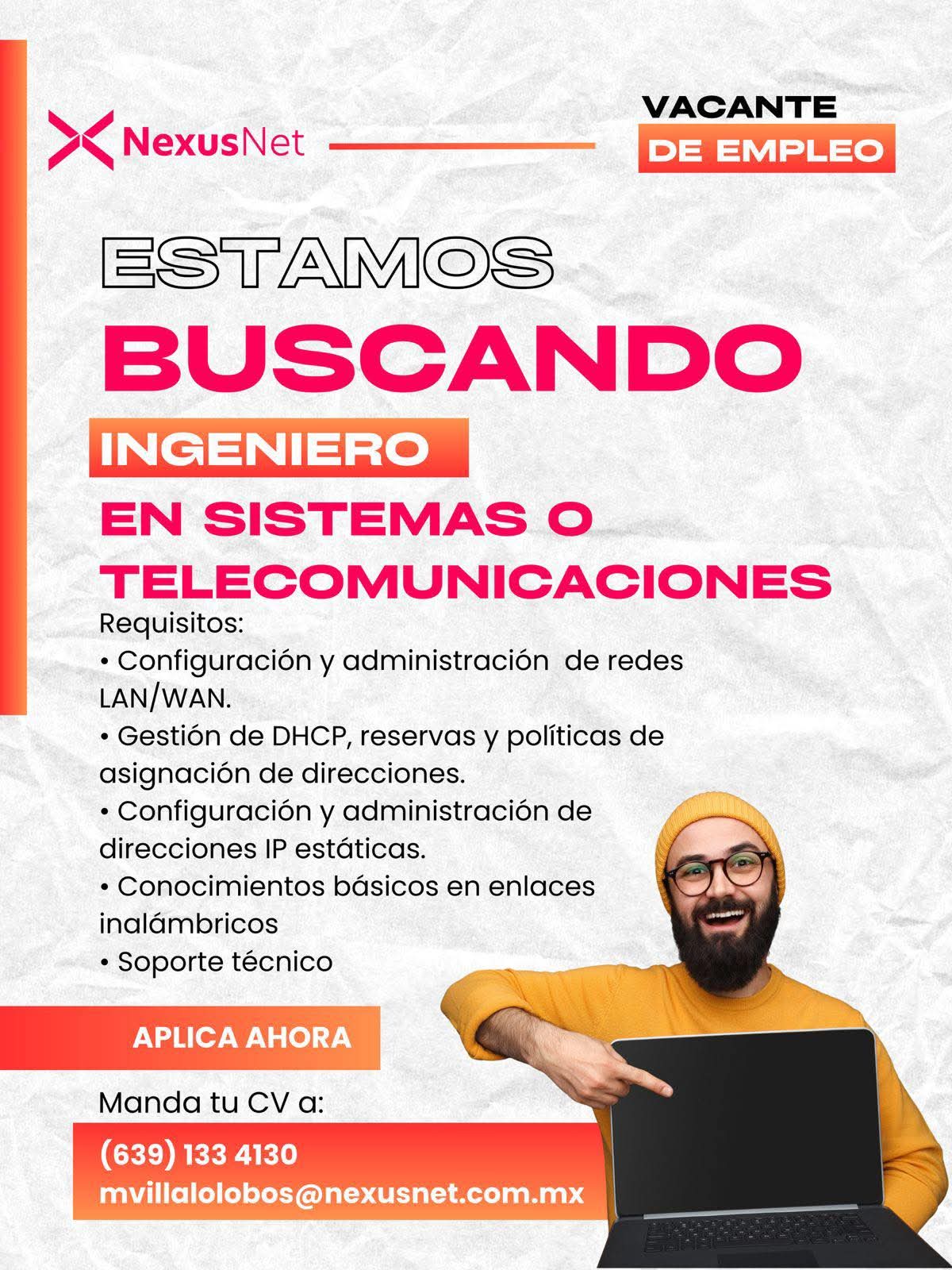 Ingeniero en sistemas