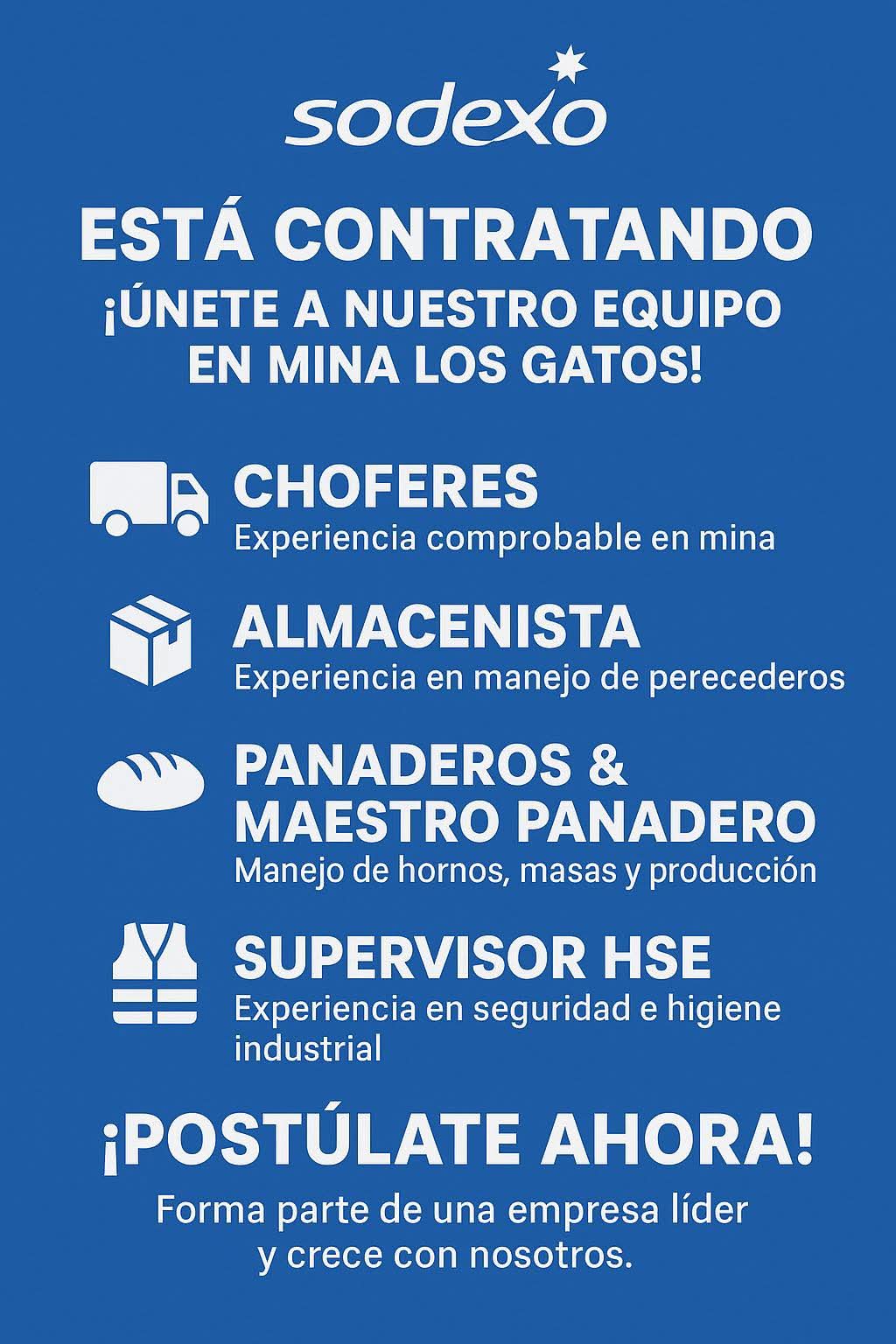 Choferes