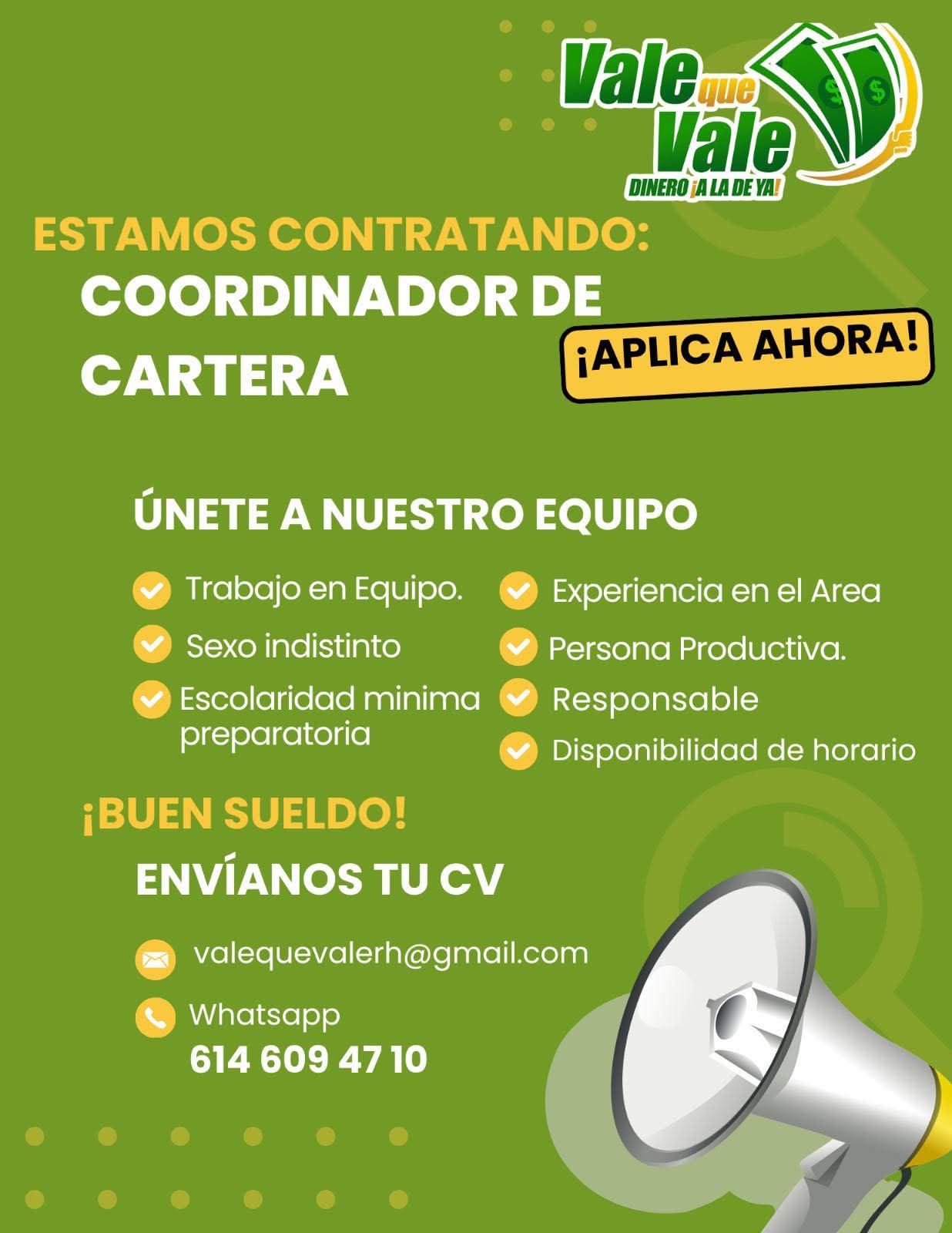 Cordinador de cartera