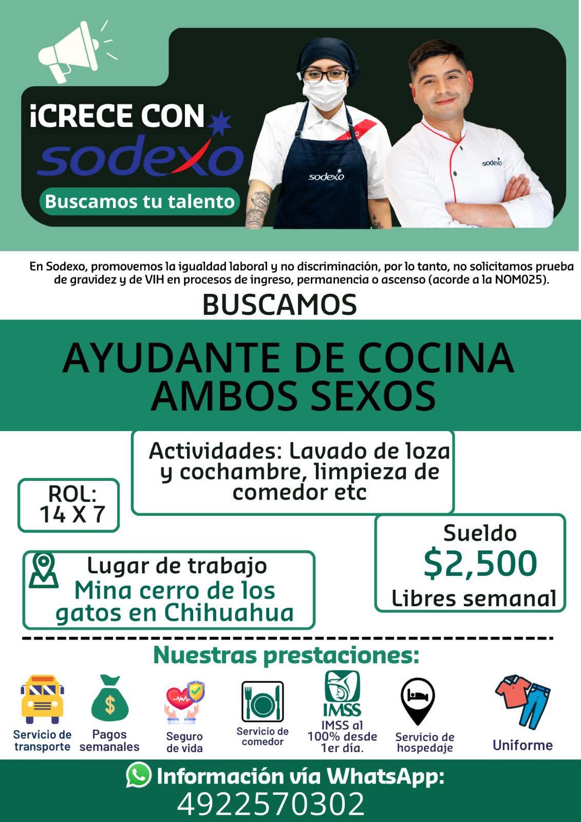 Ayudante de cocina