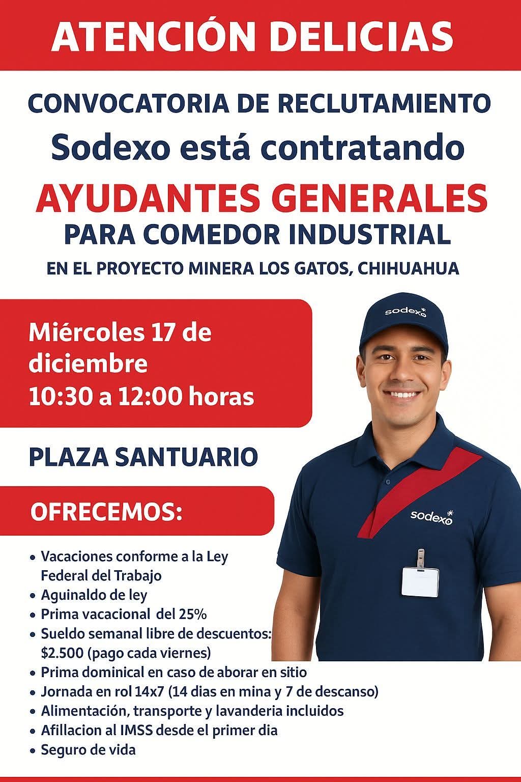 Ayudantes generales