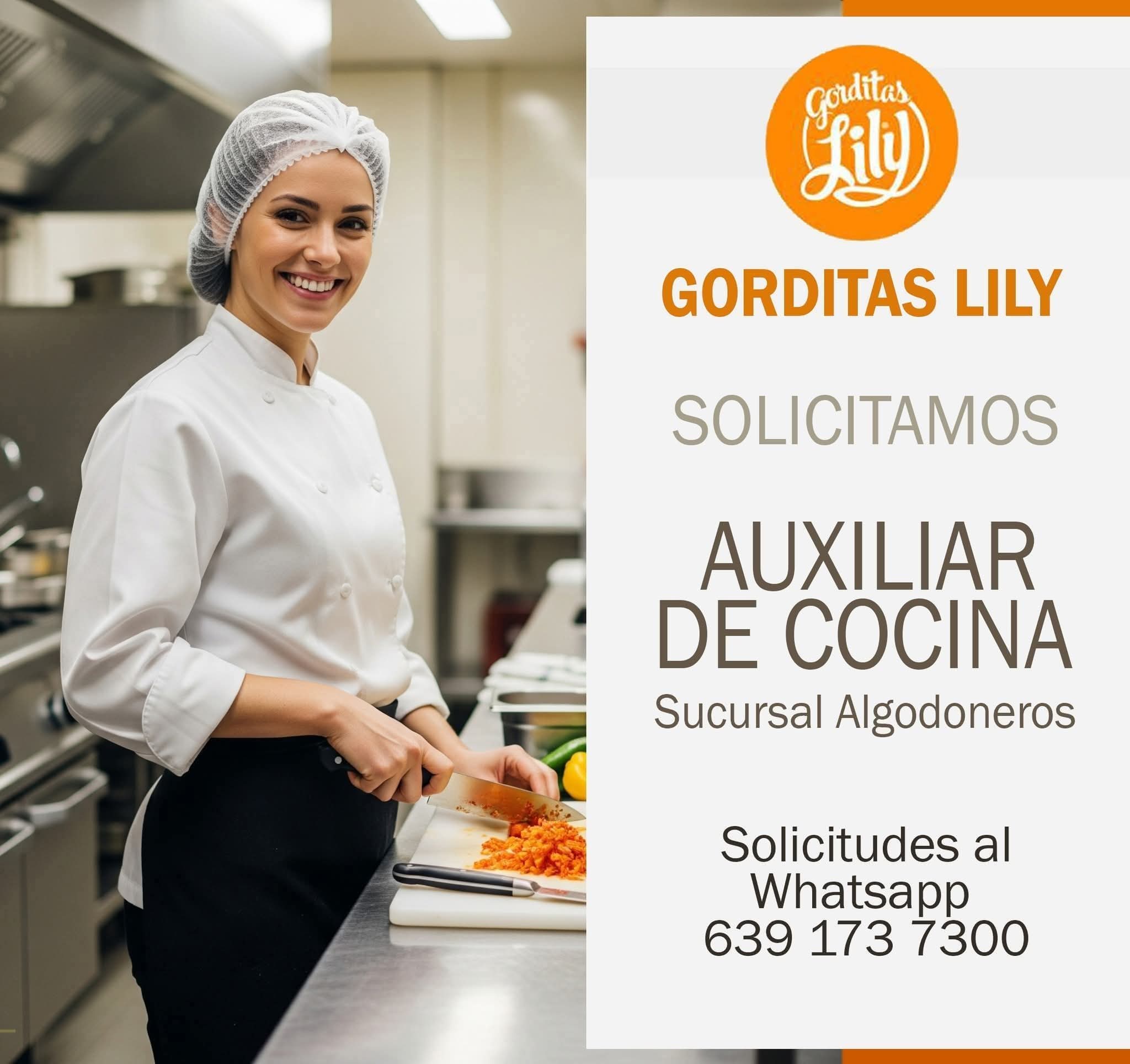 Auxiliar de cocina