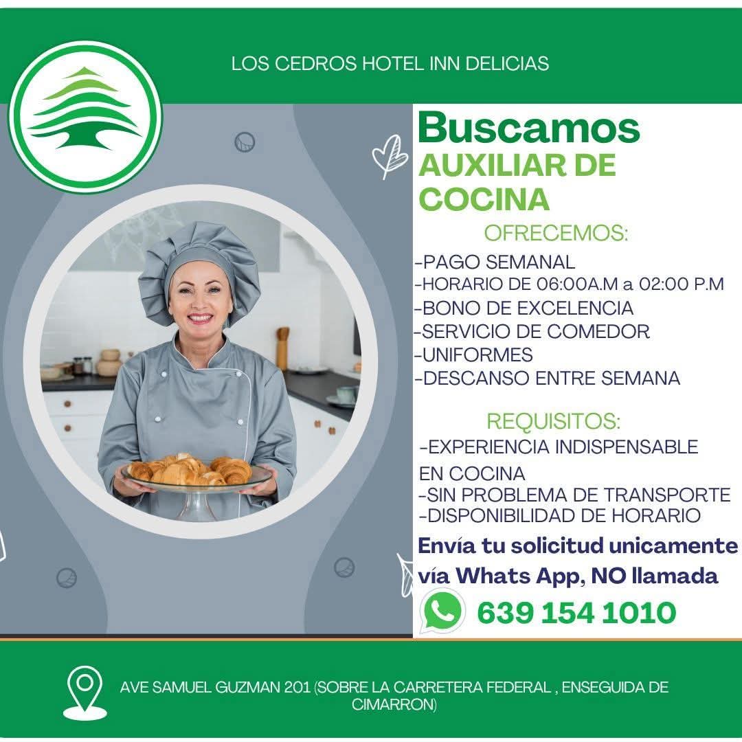 Auxiliar de cocina