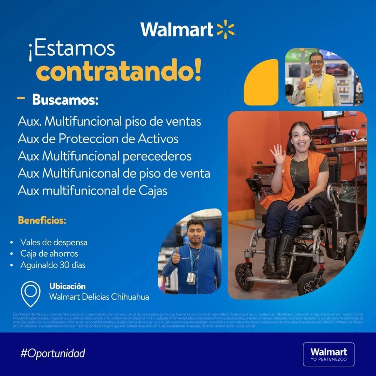 Auxiliar multifuncional
