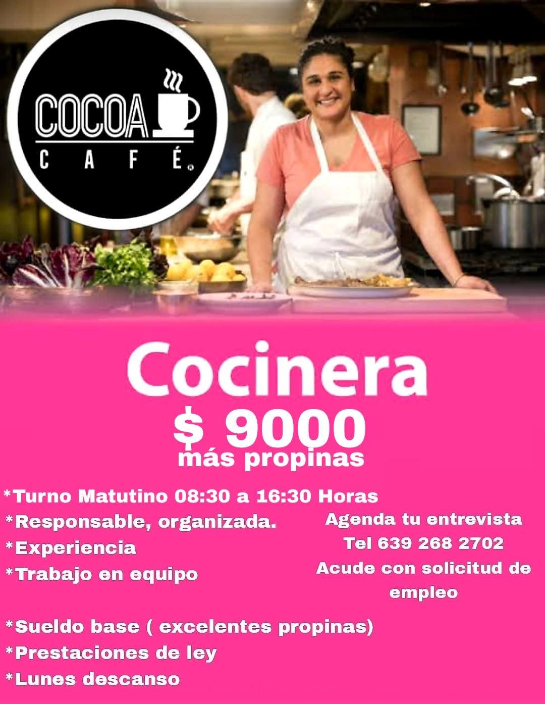 Cocinera