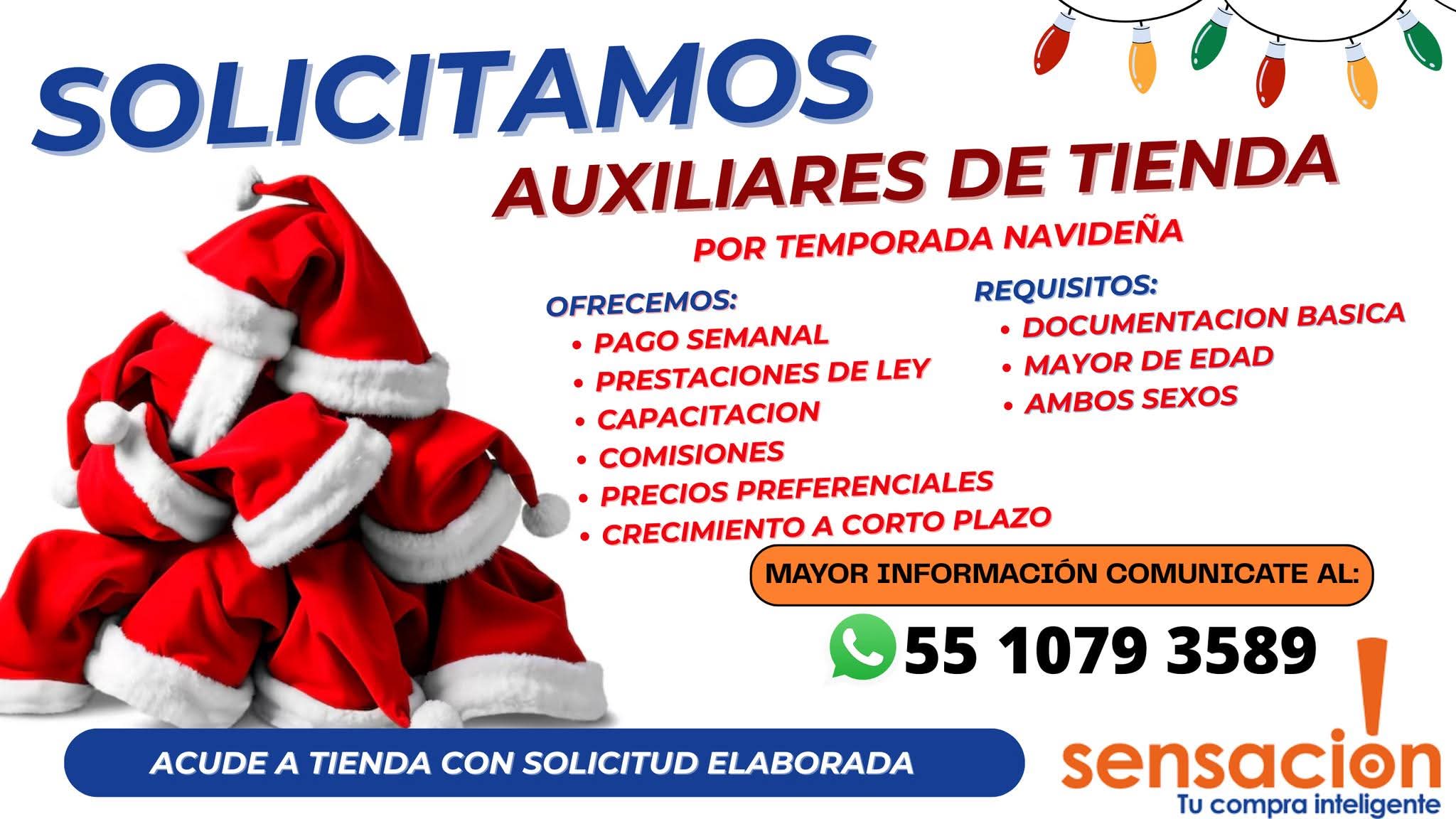 Auxiliar de tienda