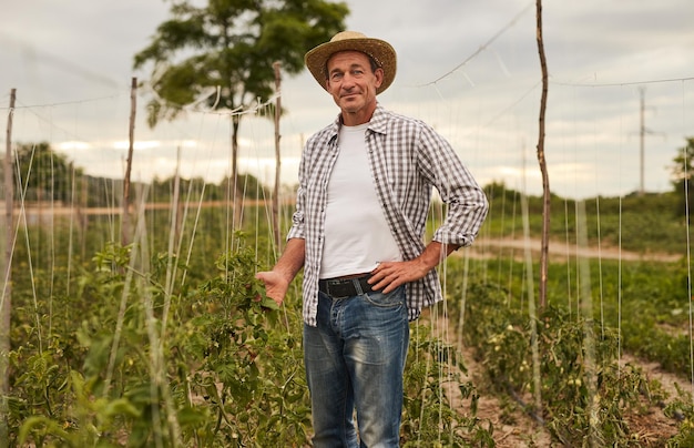 Jardinero