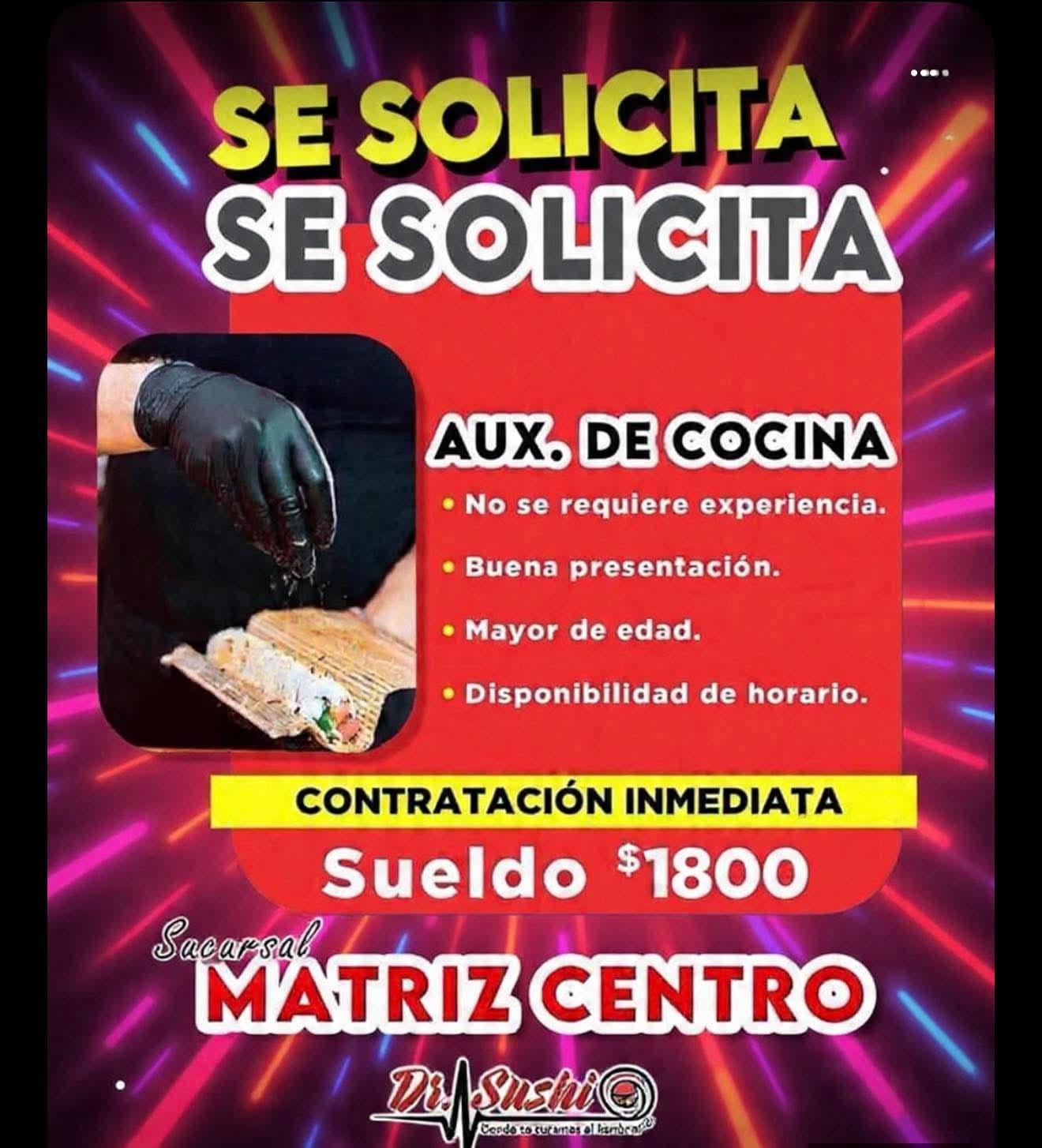 Auxiliar de cocina