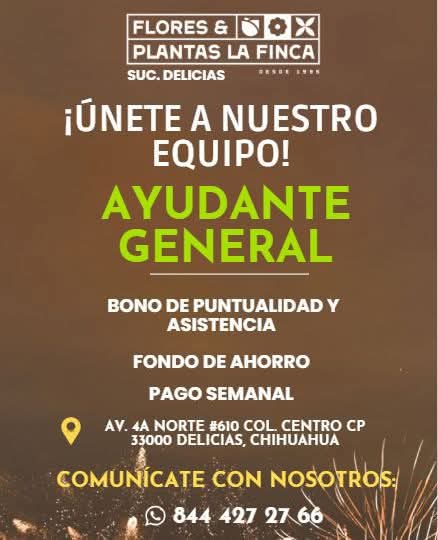 Ayudante general
