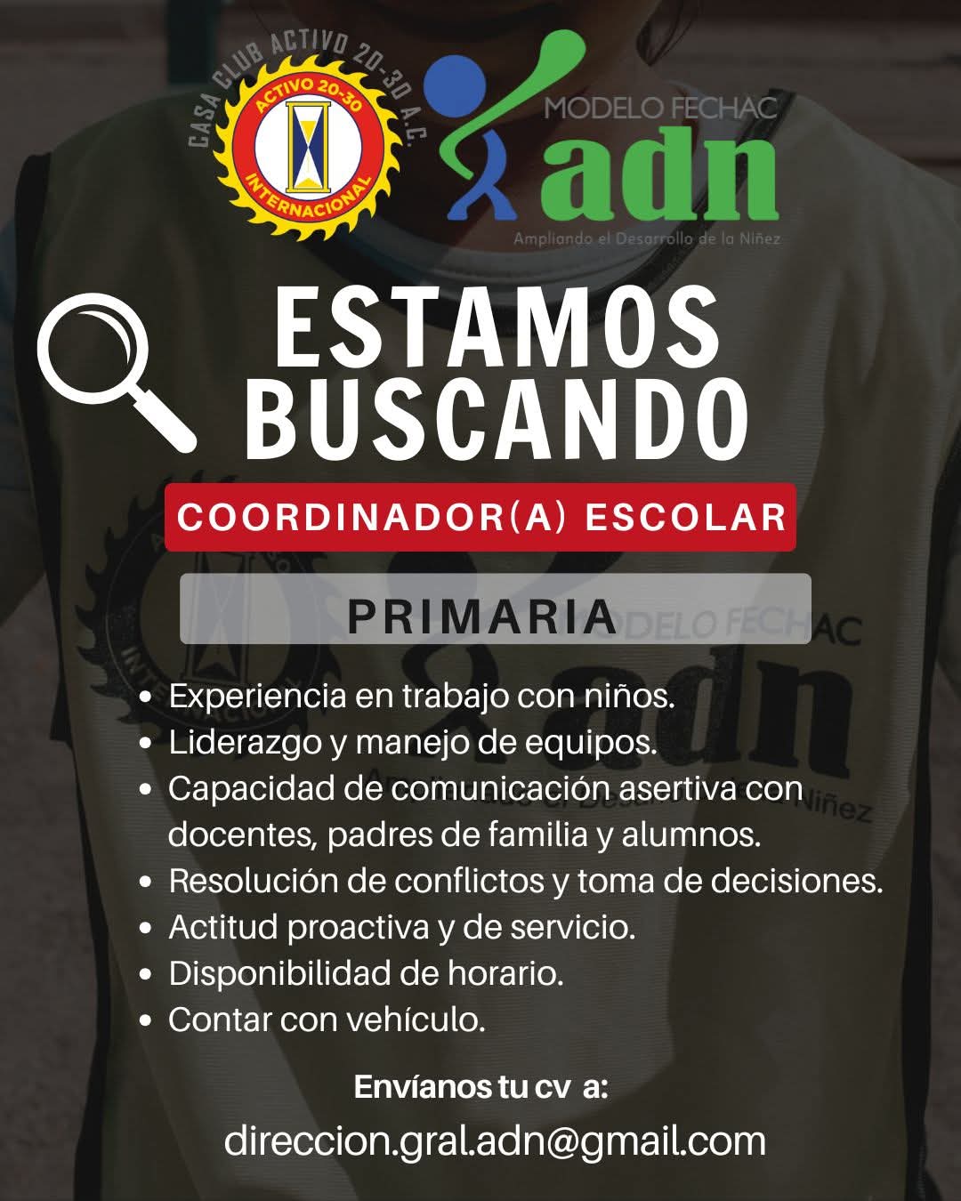Cordinador escolar
