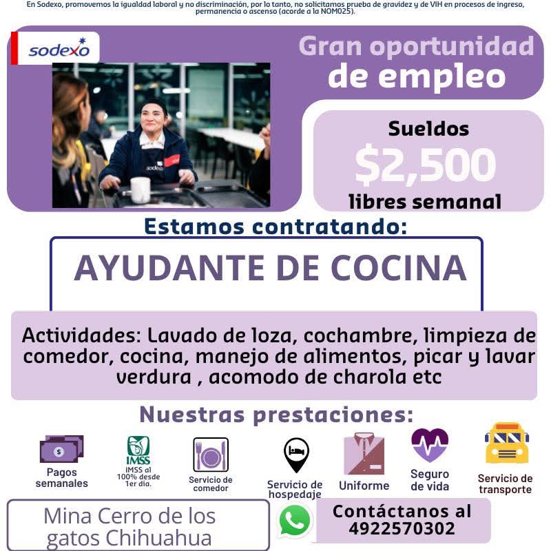 Ayudante de cocina
