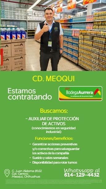 Auxiliar de protección