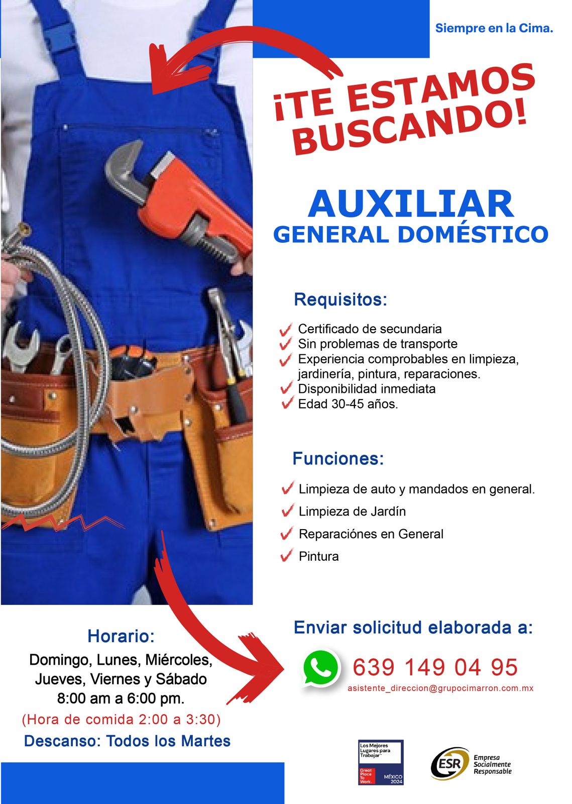 Auxiliar doméstico