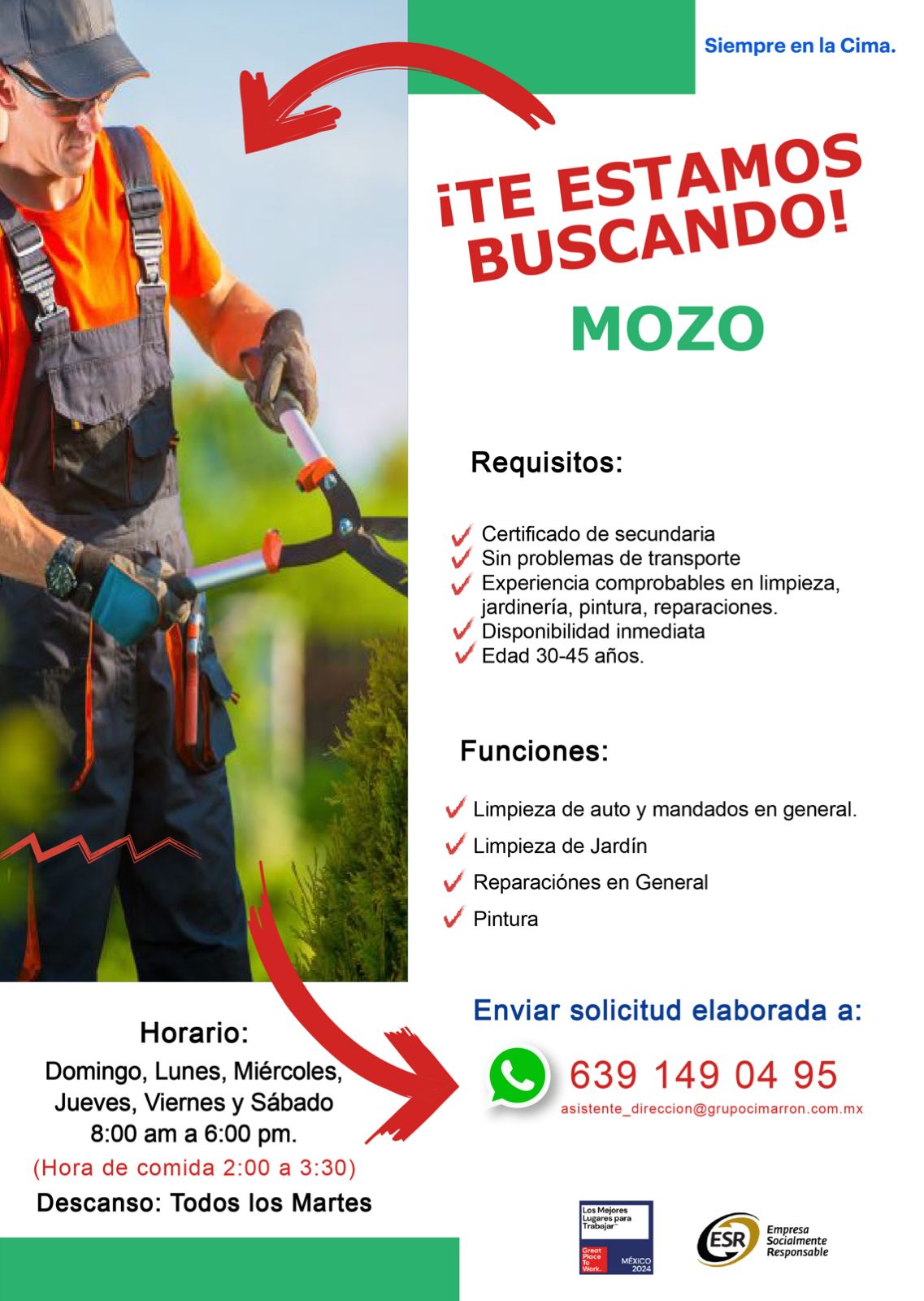 Mozo