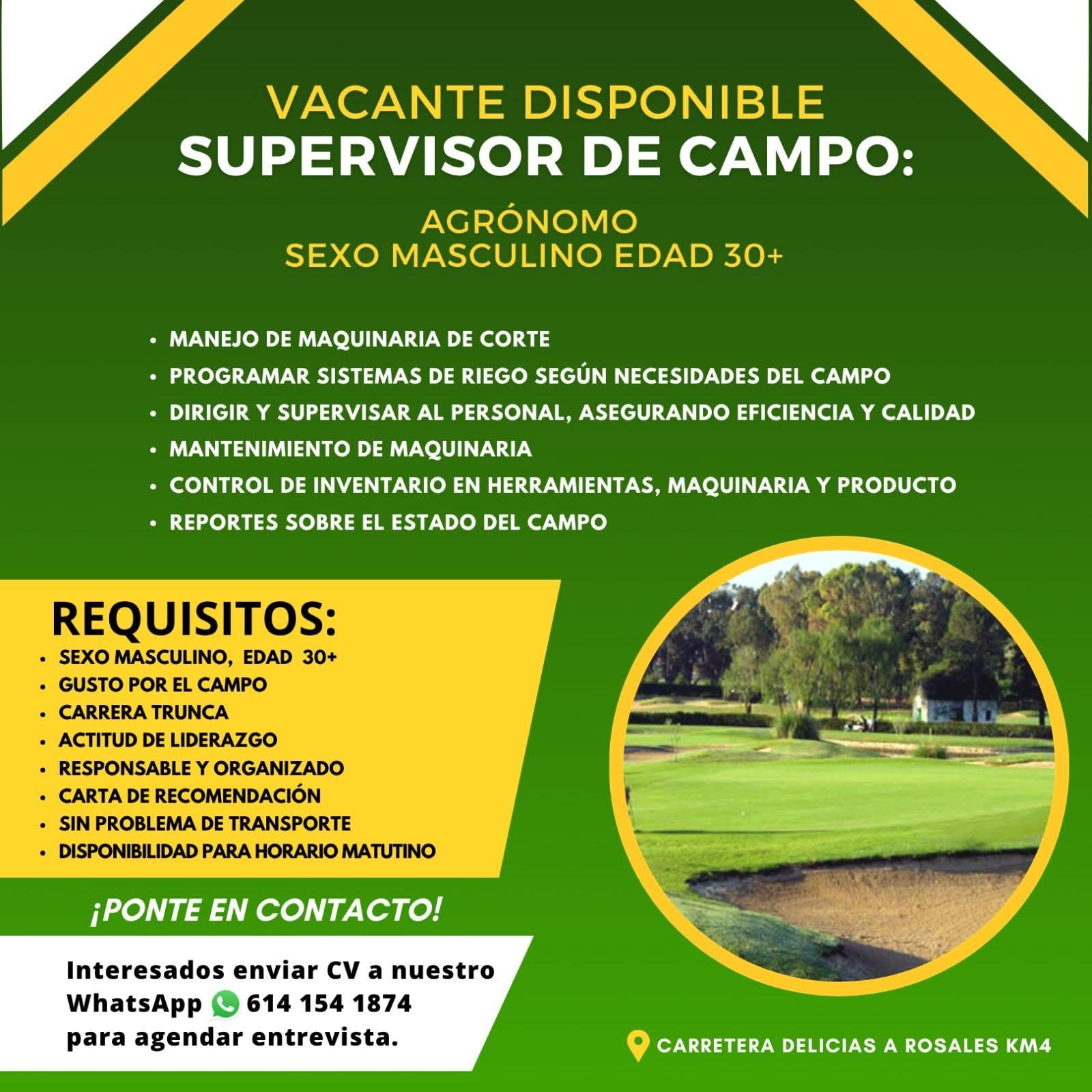 Supervisor de campo