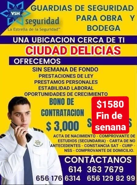 Guardia de seguridad