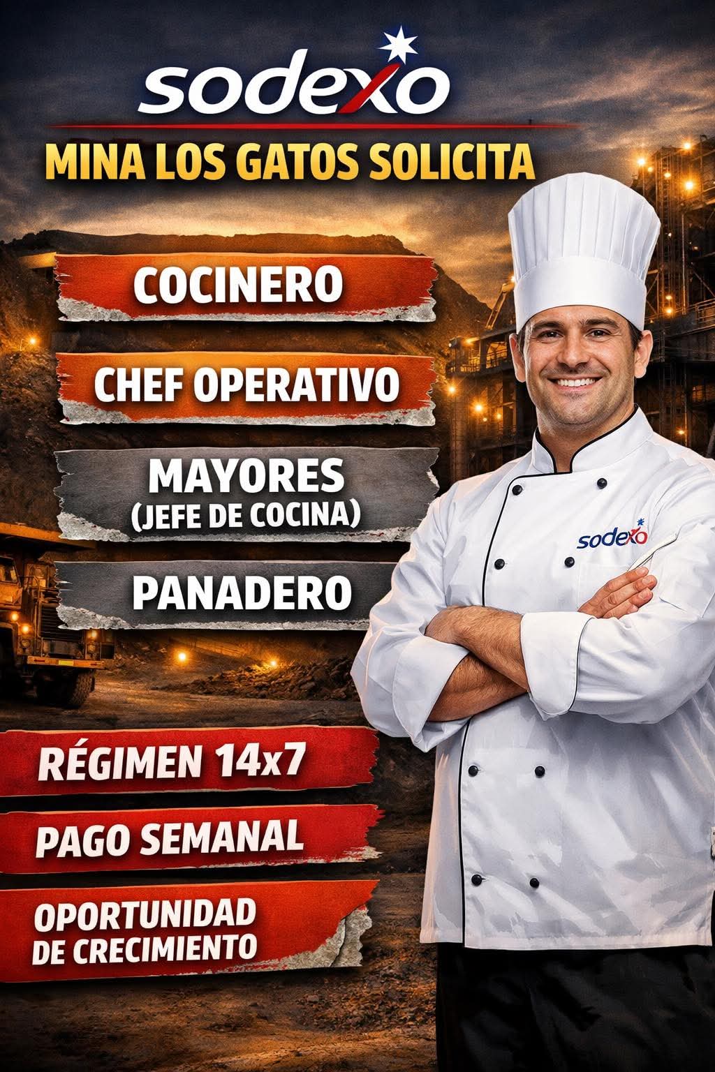 Cocinero