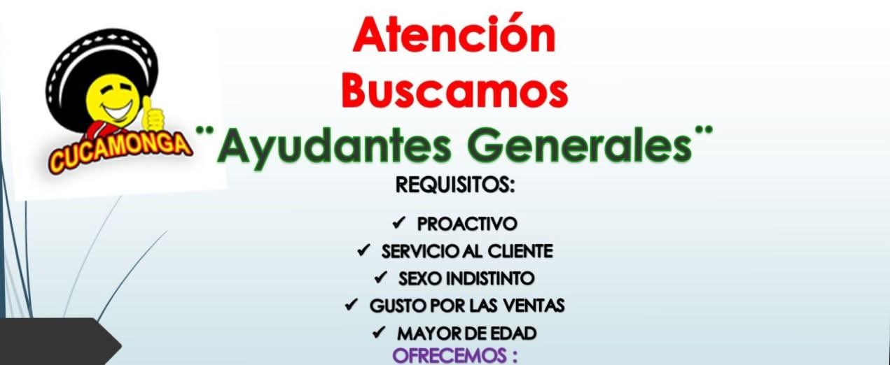 Ayudante general