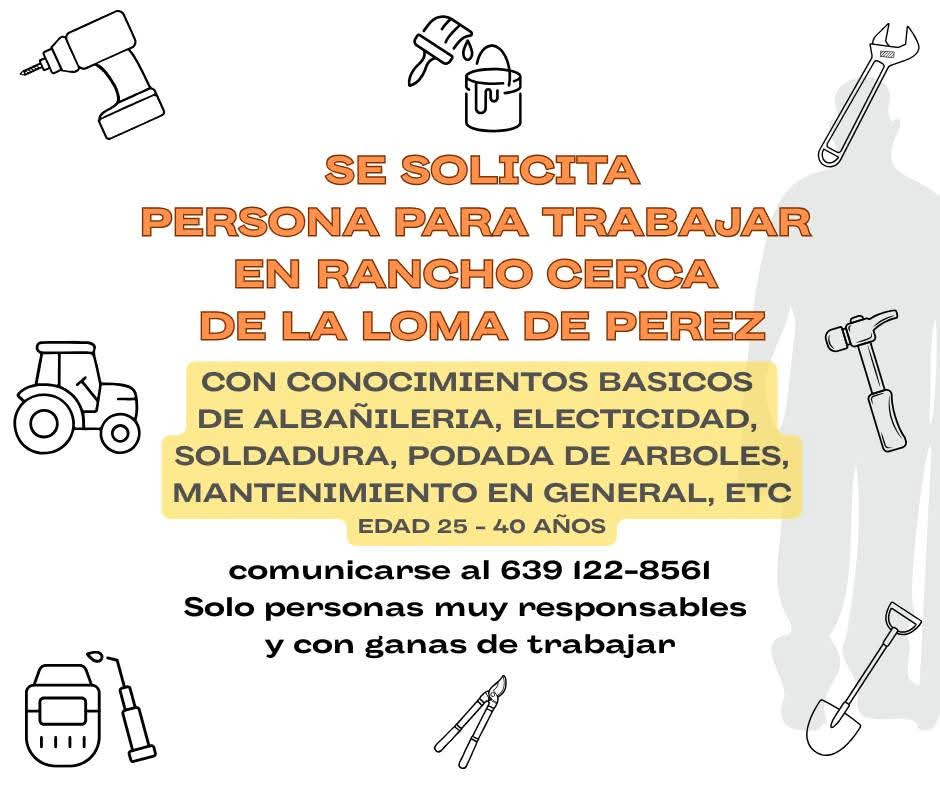 Persona para trabajar