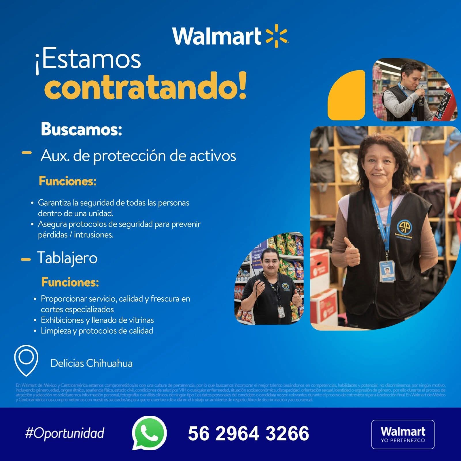 Auxiliar de producción