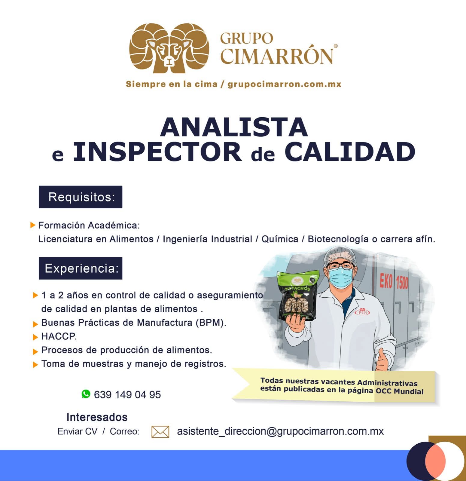 Analista de inspector de seguridad