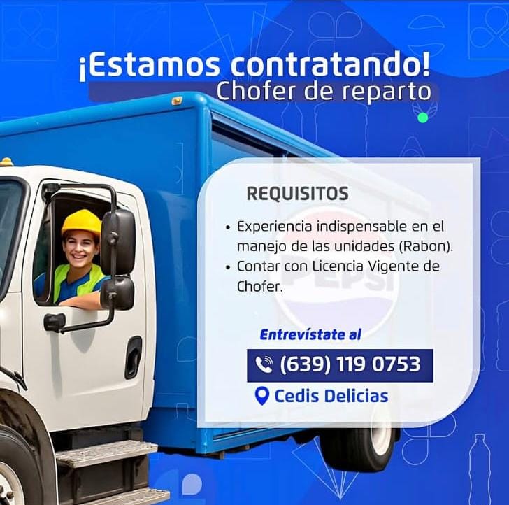 Chofer de reparto