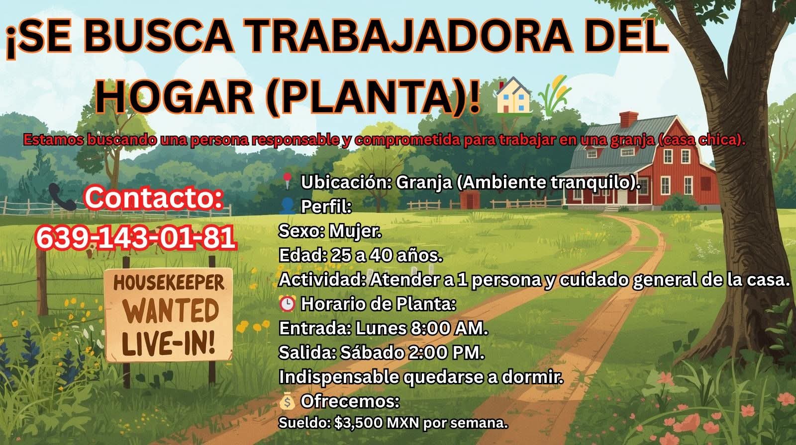 Trabajadora del hogar