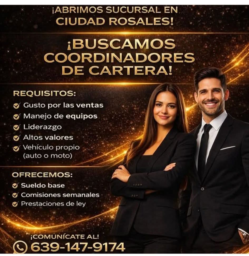 Cordinador de cartera